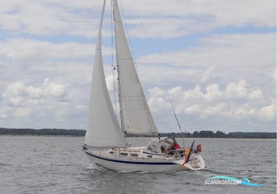 Hallberg – Rassy 31 / MK I  Zeilboten 1993, met Volvo Penta MD 202 motor, Duitsland