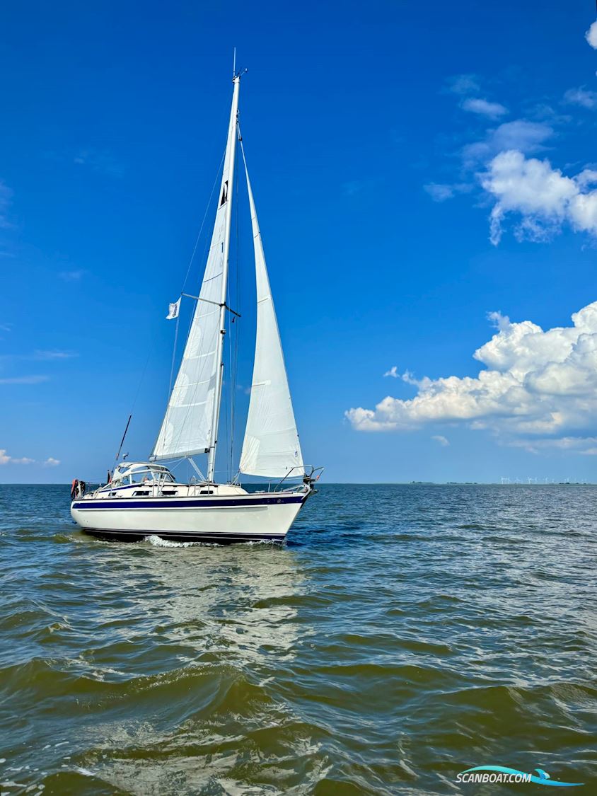 Hallberg – Rassy 31 / MK I 