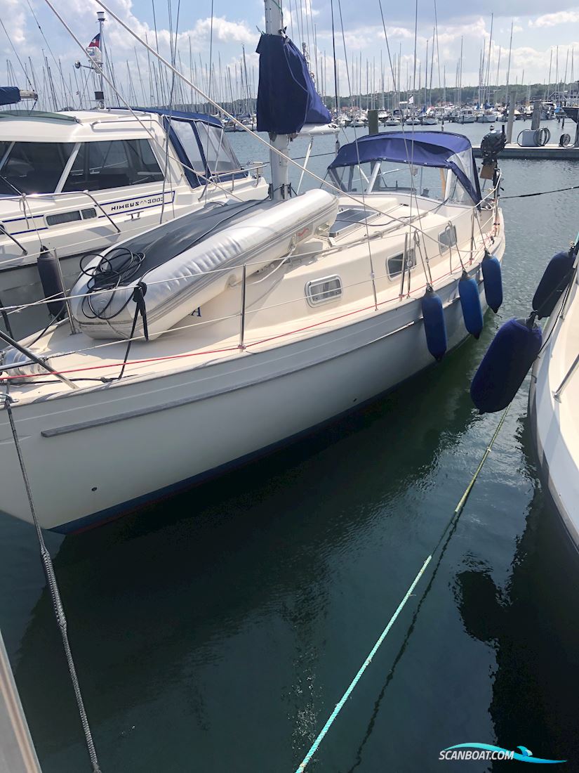 Hallberg-Rassy 31 Monsun Zeilboten 1976, met yanmar 3YM30 motor, Denemarken
