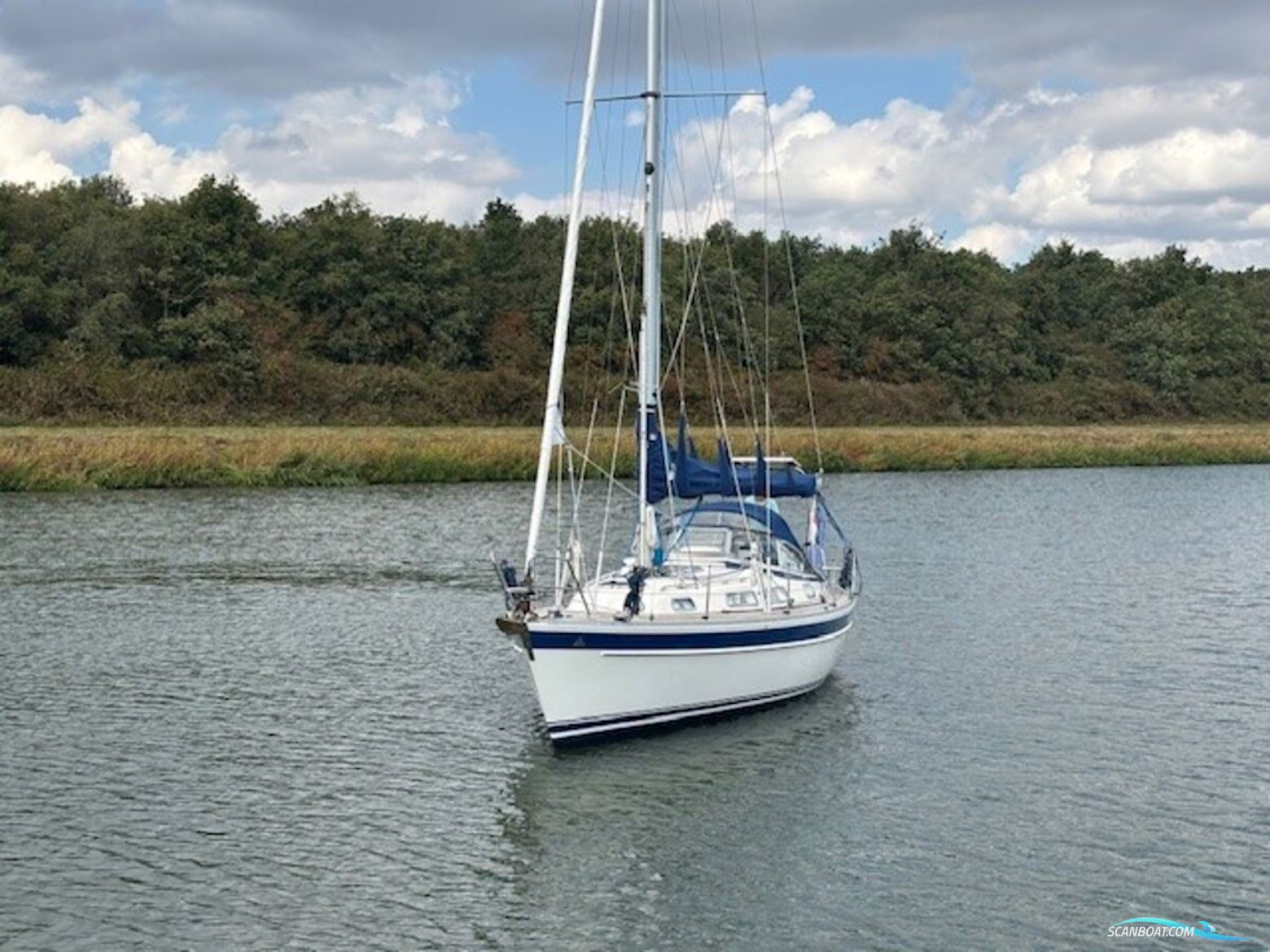 Hallberg Rassy 31