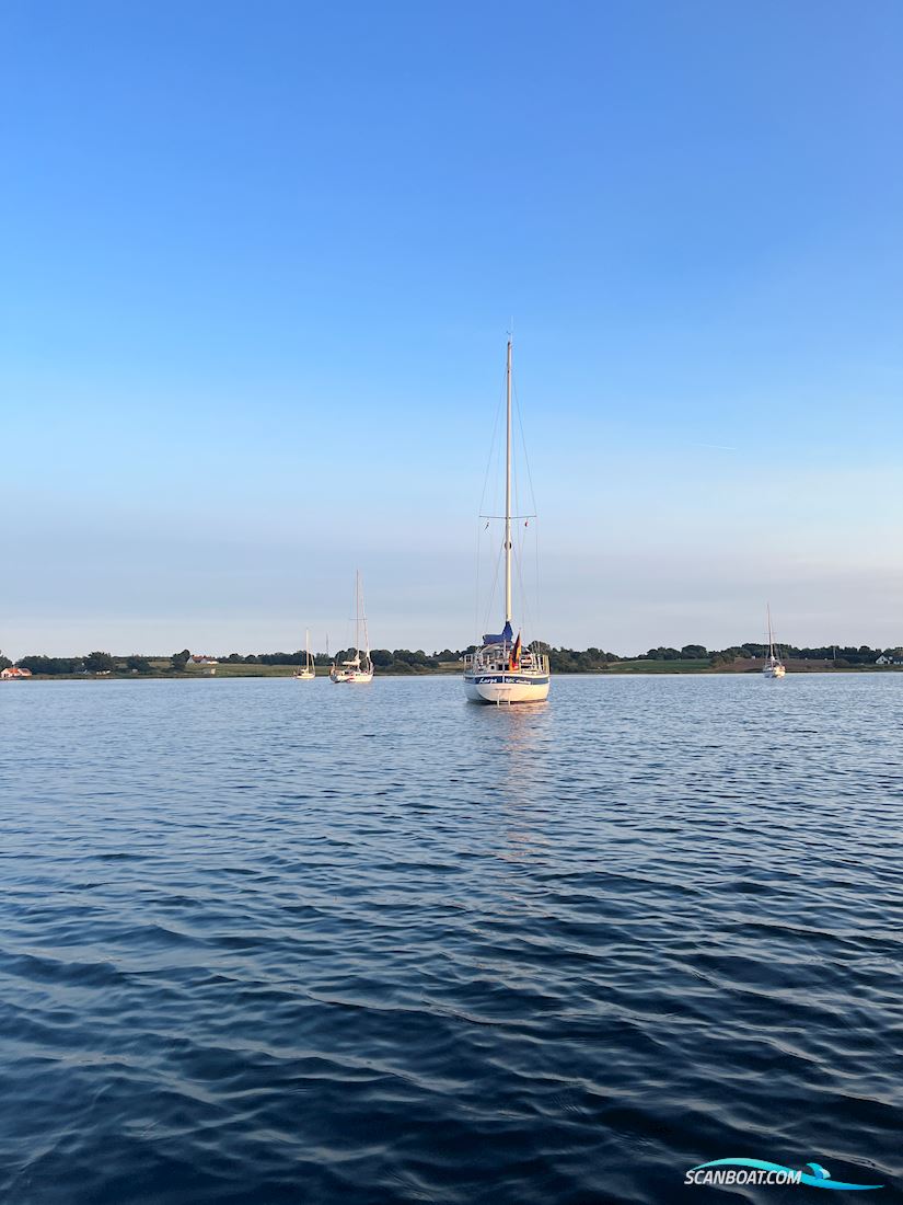 Hallberg-Rassy 312