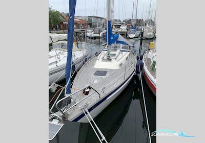 Hallberg-Rassy 312 Zeilboten 1988, met Volvo-Penta motor, Duitsland