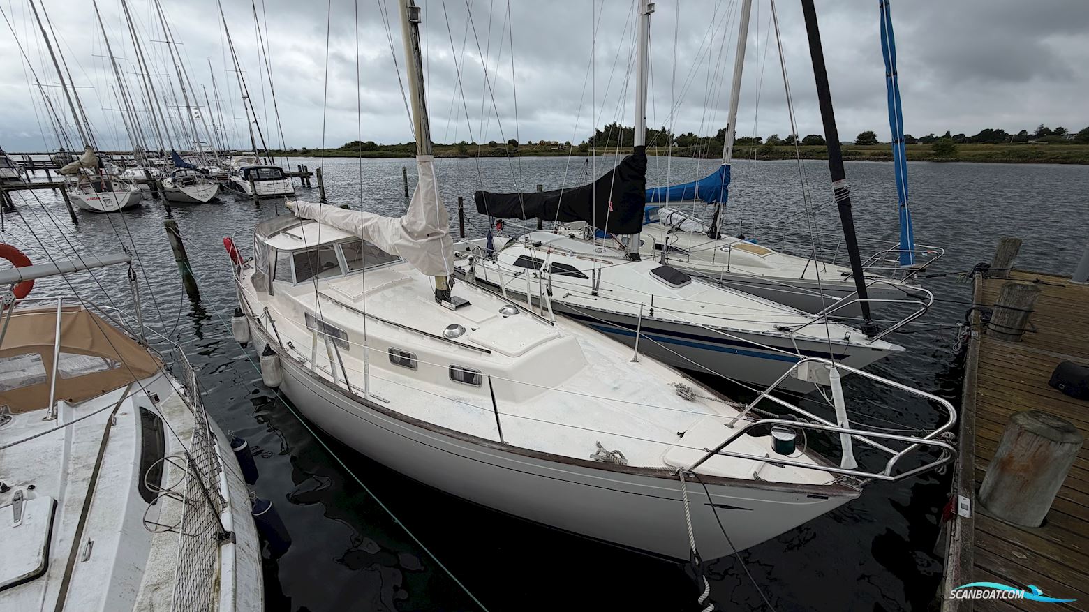 Hallberg-Rassy 35 Rasmus