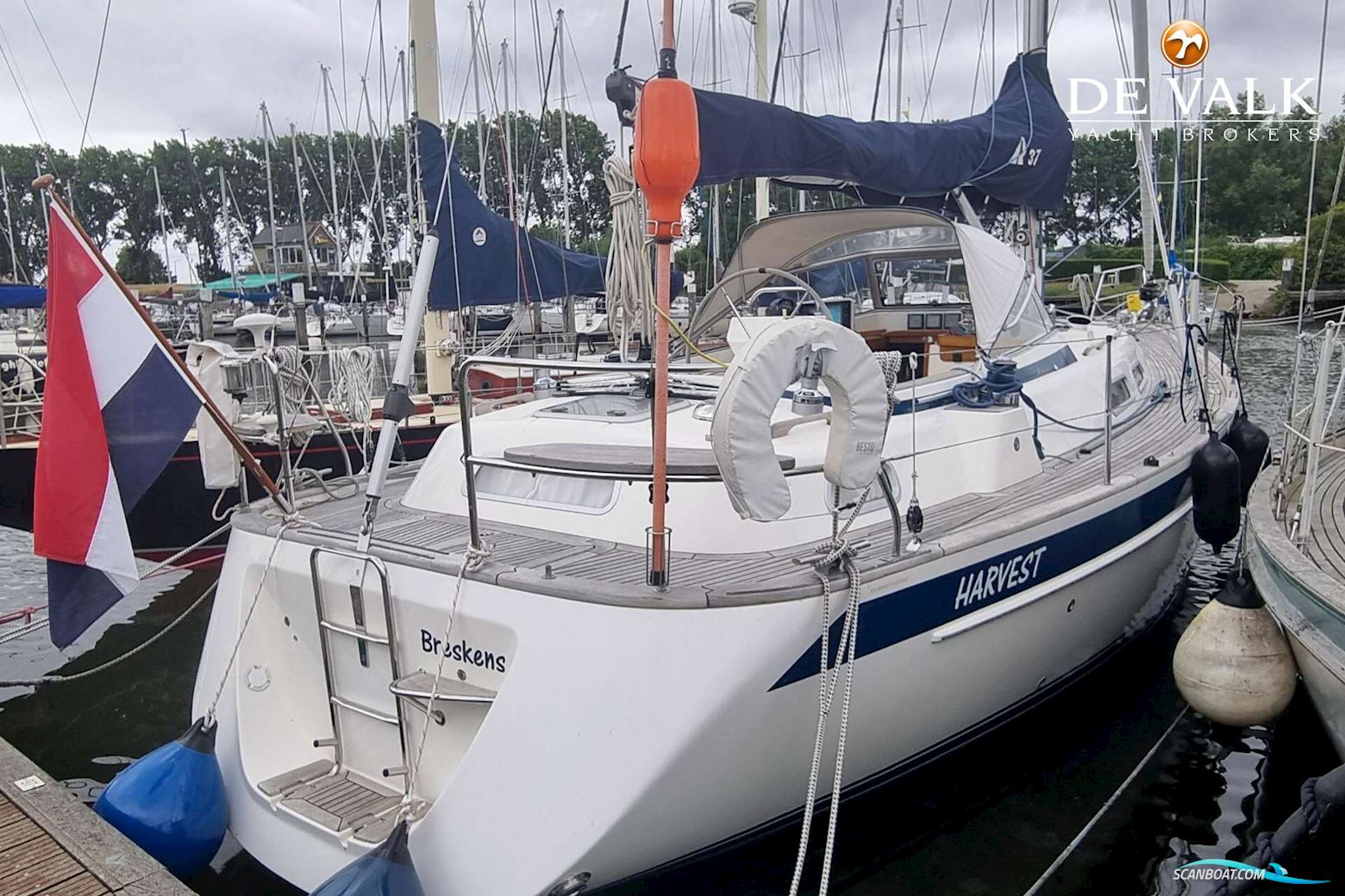 Hallberg Rassy 37