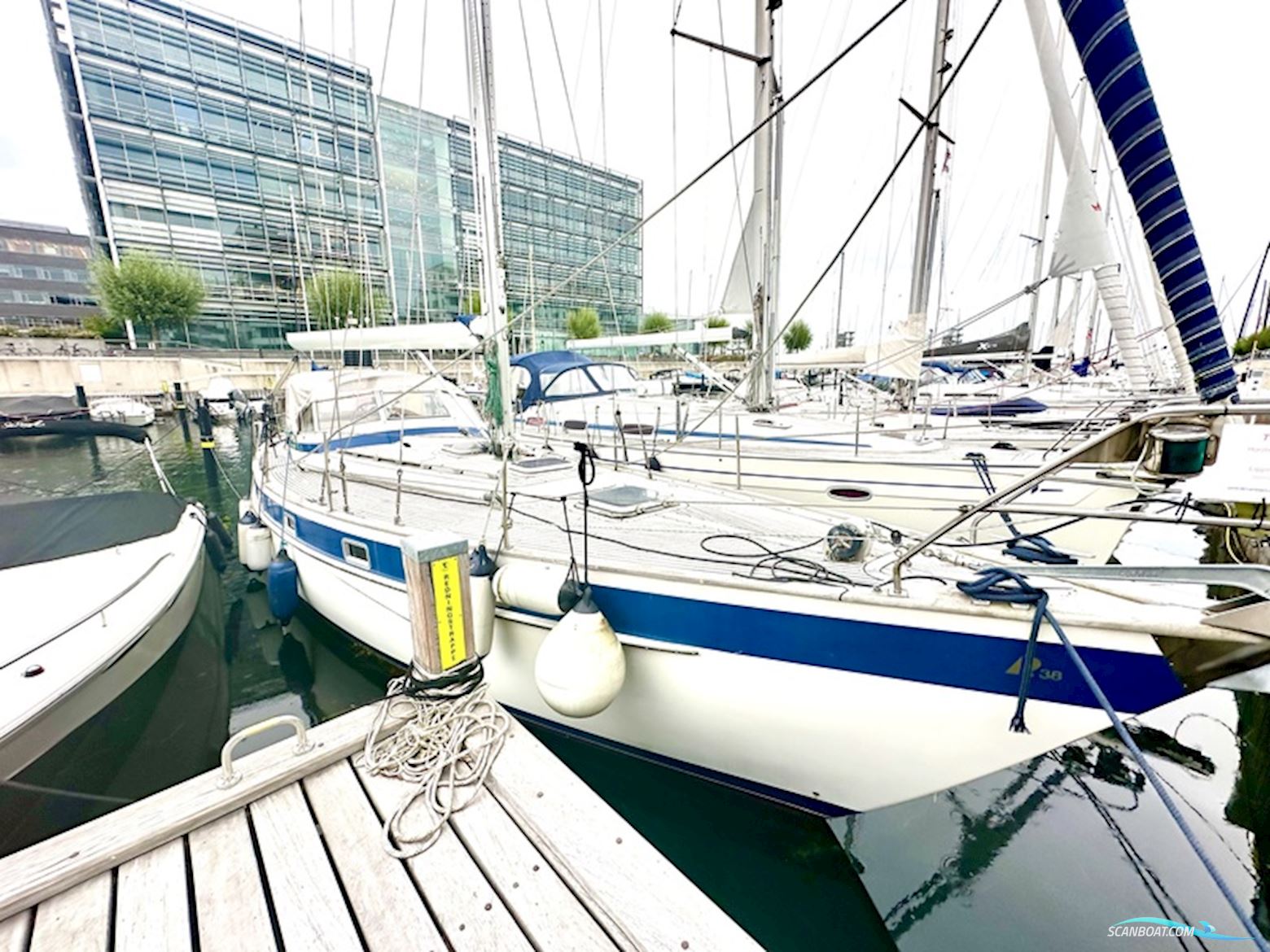 Hallberg Rassy 38