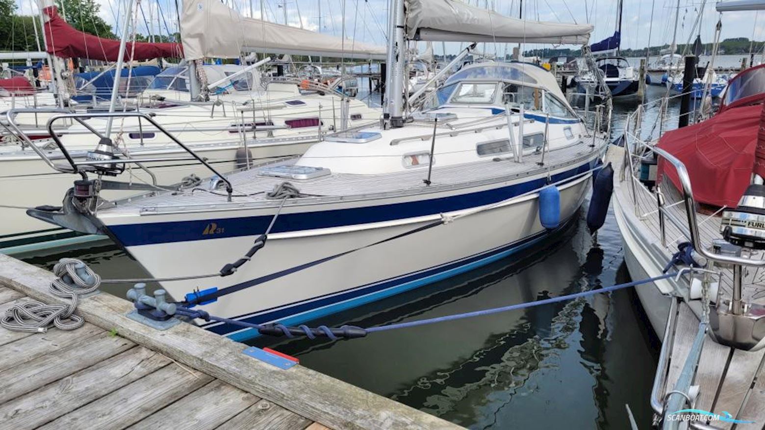 Hallberg-Rassy HR 31 Scandinavia Zeilboten 2001, met Volvo Penta motor, Duitsland