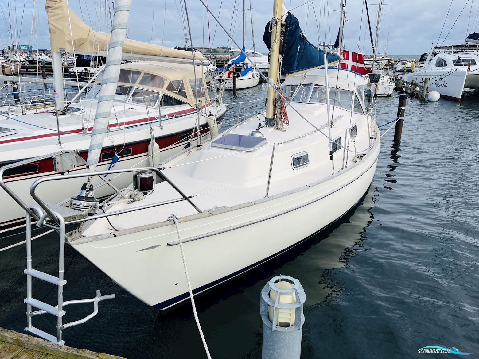 Hallberg-Rassy Monsun 31