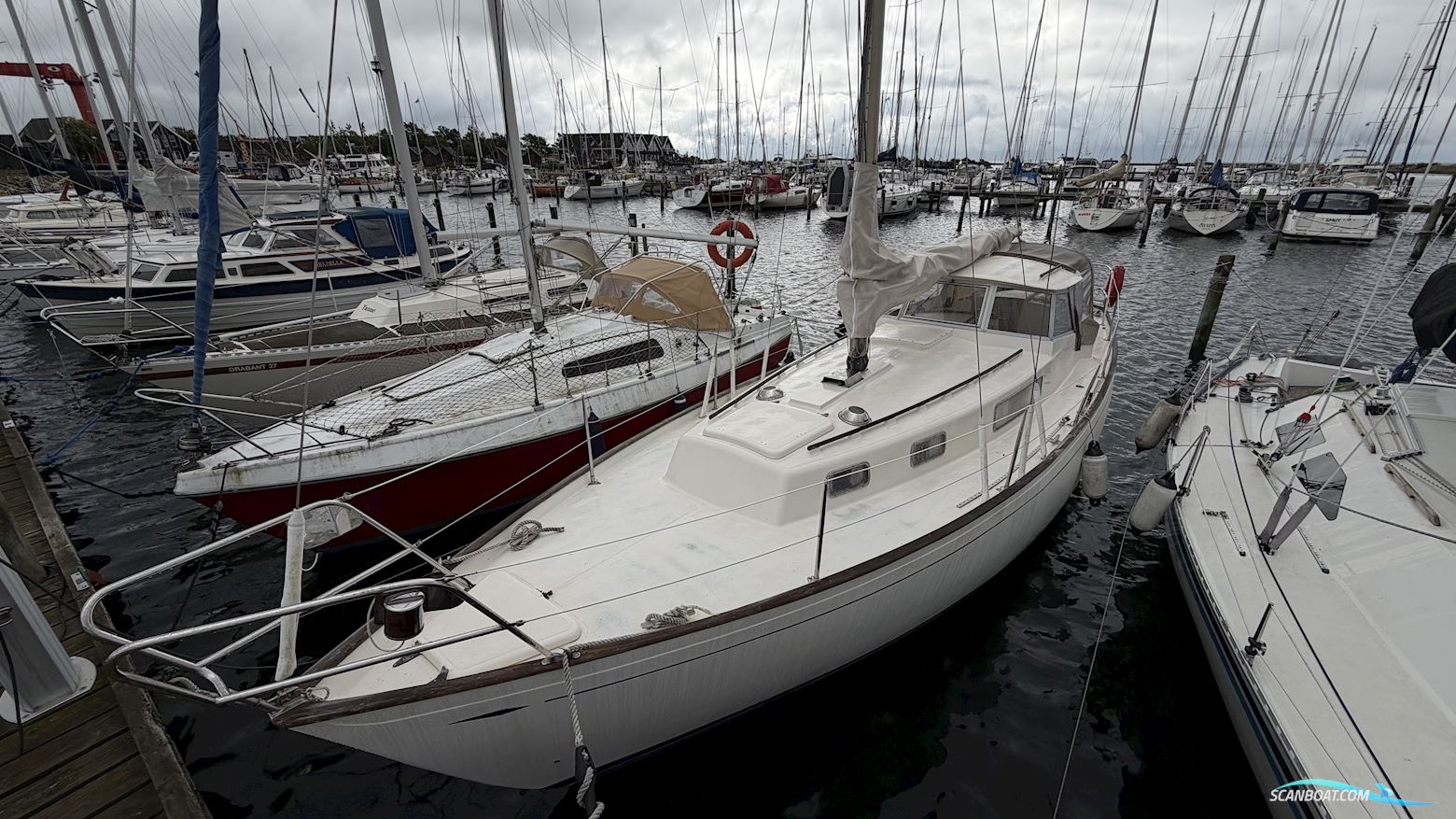 Hallberg-Rassy Rasmus 35