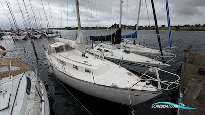Hallberg-Rassy Rasmus 35 Zeilboten 1974, Denemarken