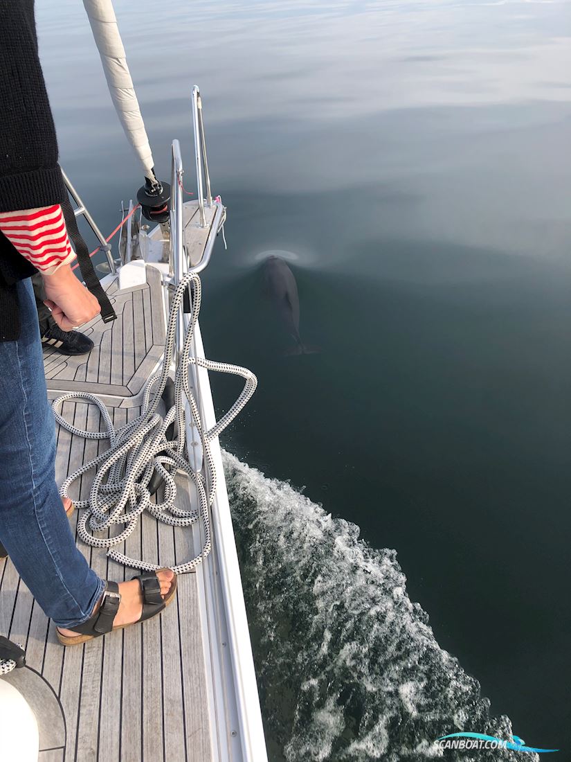 Hanse 350