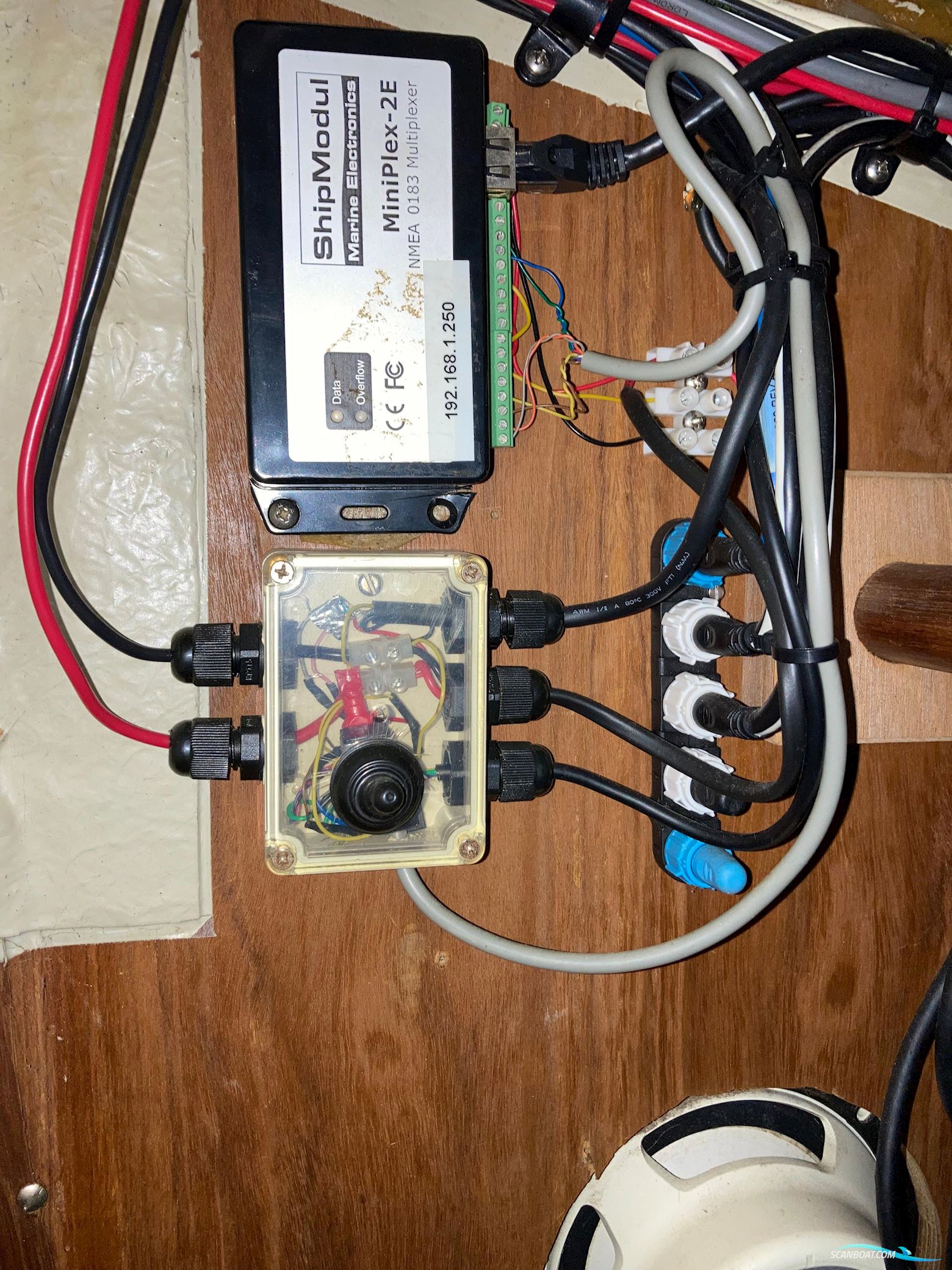 Helmsman Bosun Queen 55