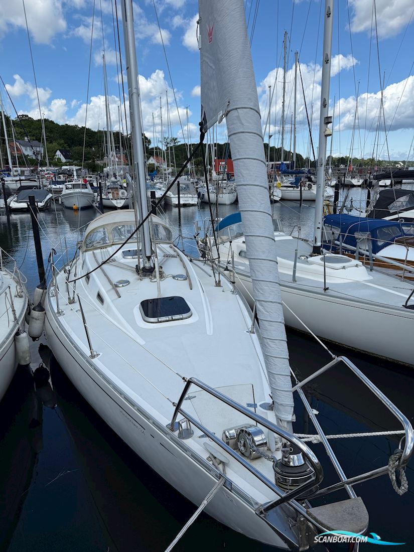 Hinrichsen 34