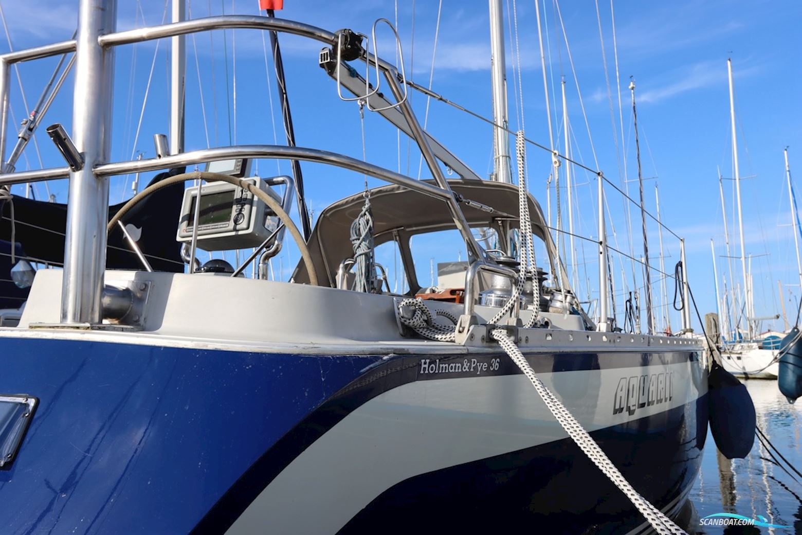 Holman & Pye Red Admiral