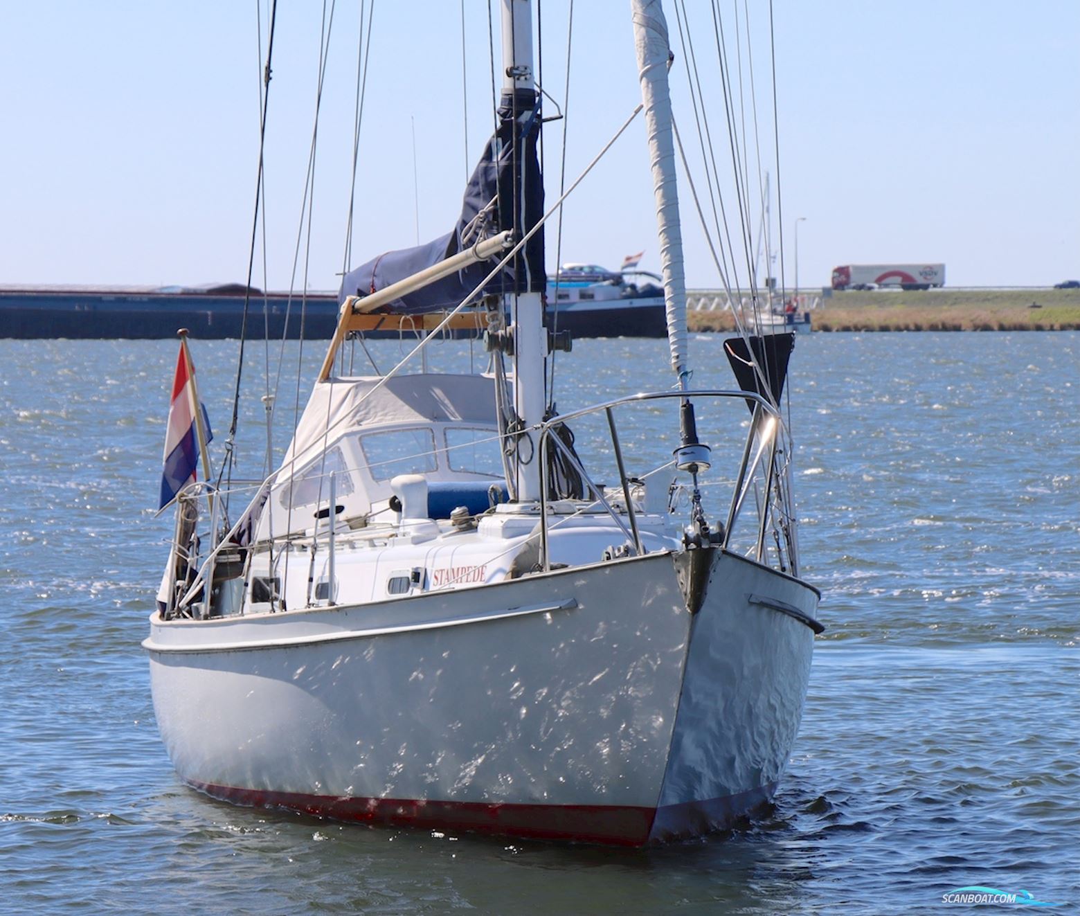 Holman and Pye  Rustler 31