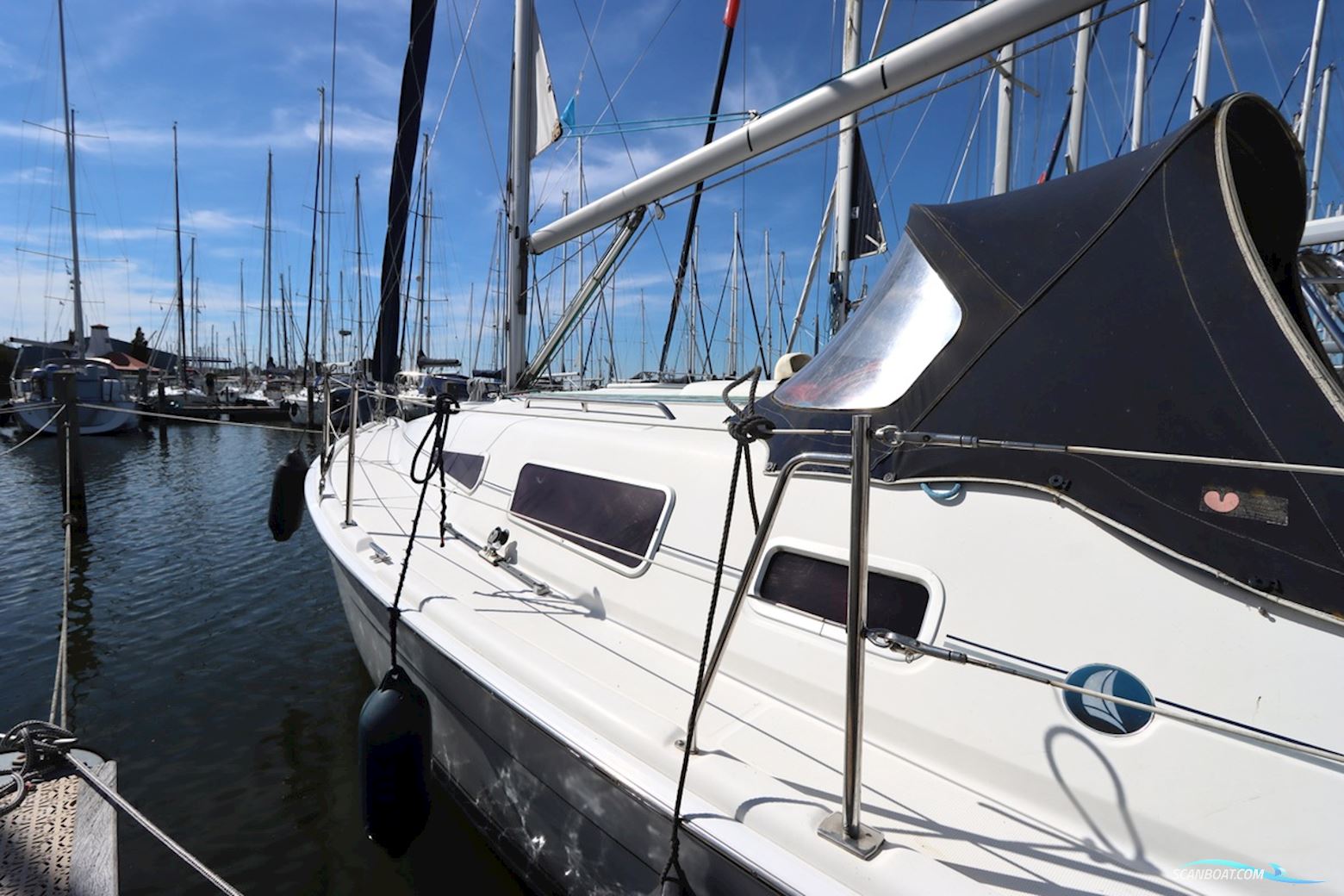 Hunter 33