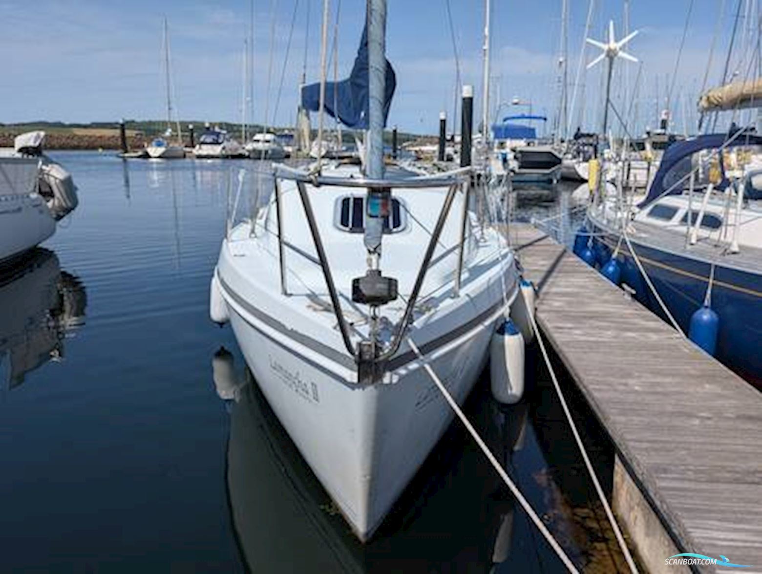 Hunter Ranger 265