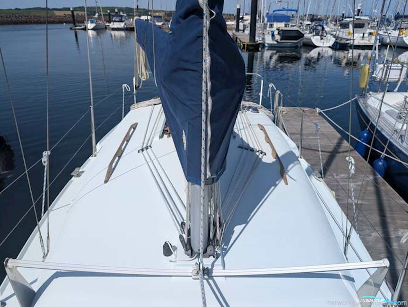 Hunter Ranger 265