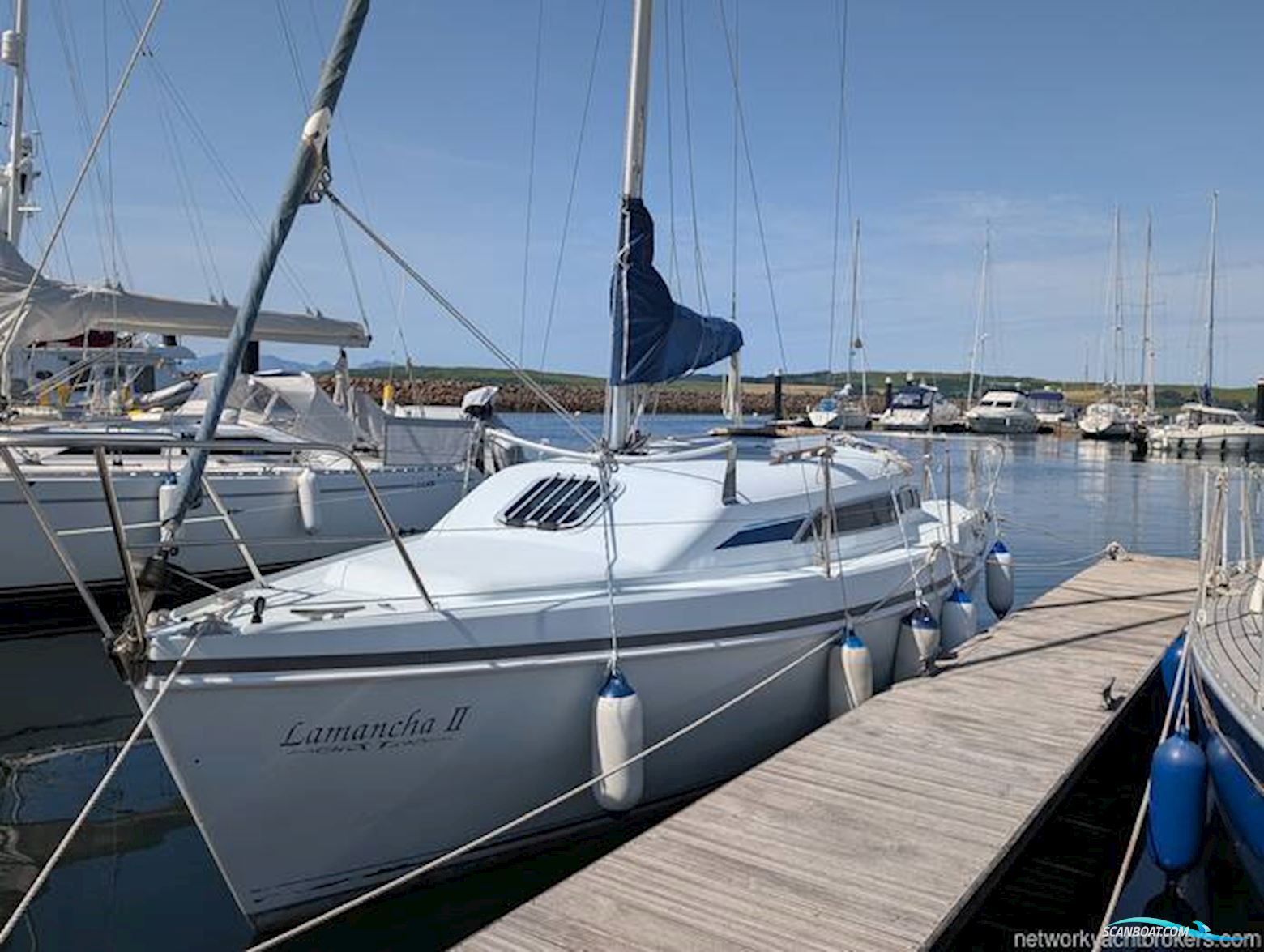 Hunter Ranger 265