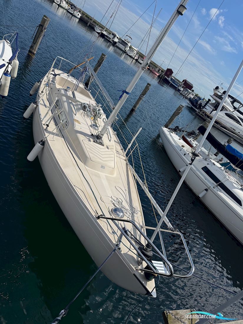 IF (International Folkboat)