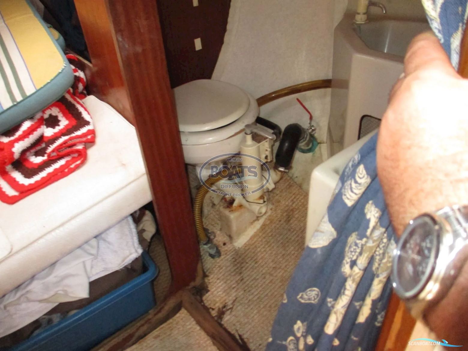 Jeanneau Folie Douce