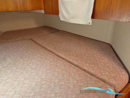 Jeanneau Sunshine Régate 38