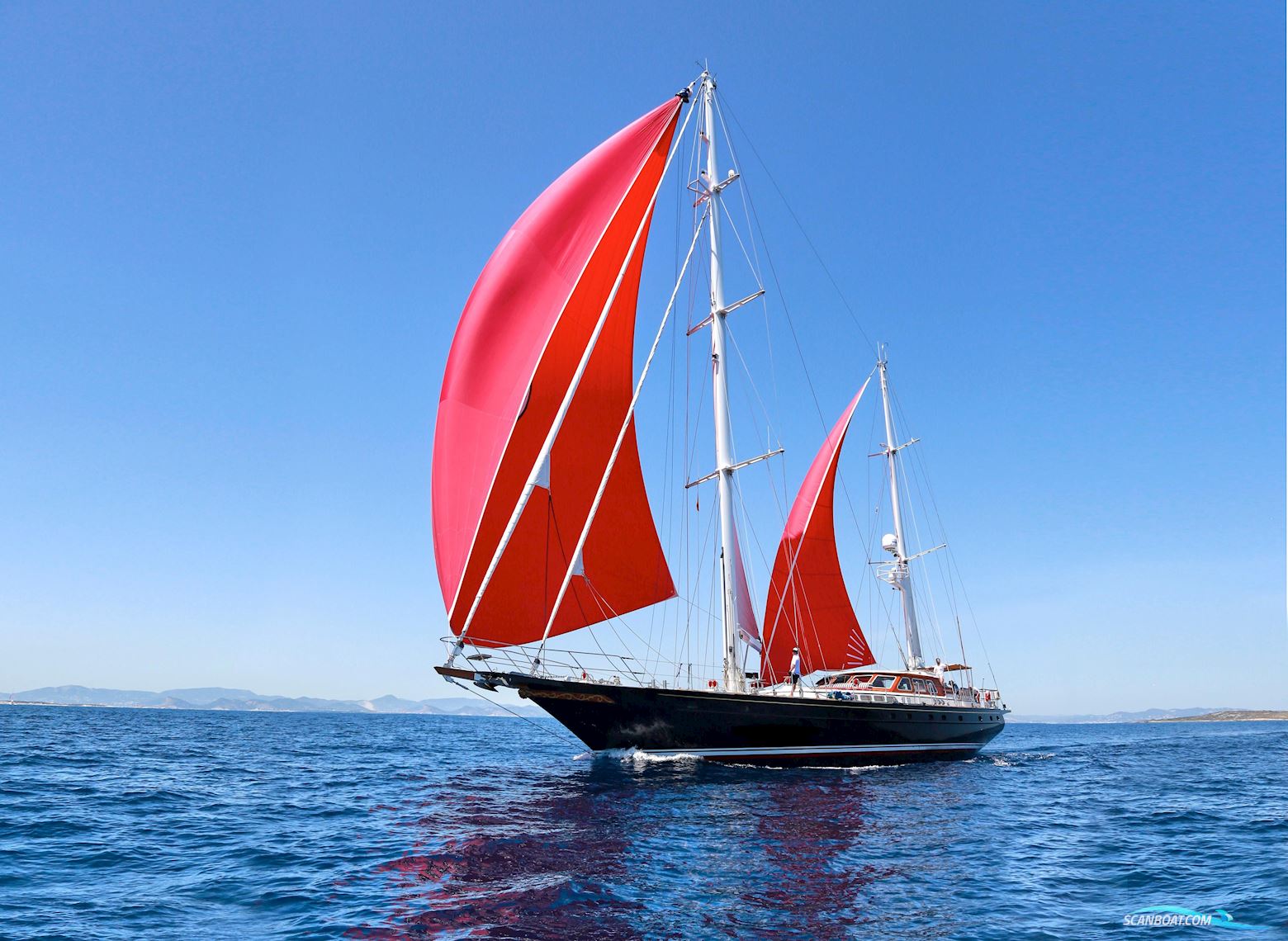 Jongert 31T