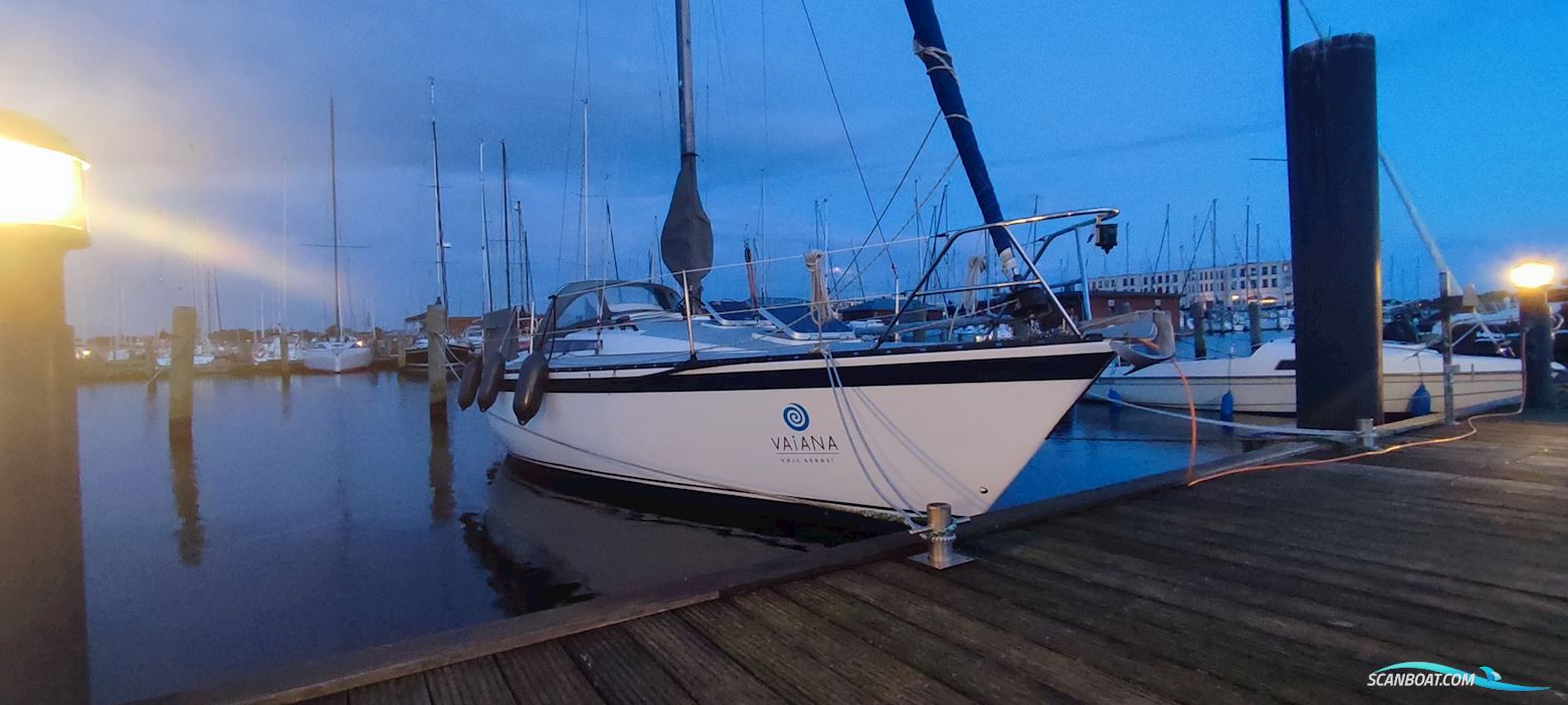 Kalik/Lewin Kalik 30