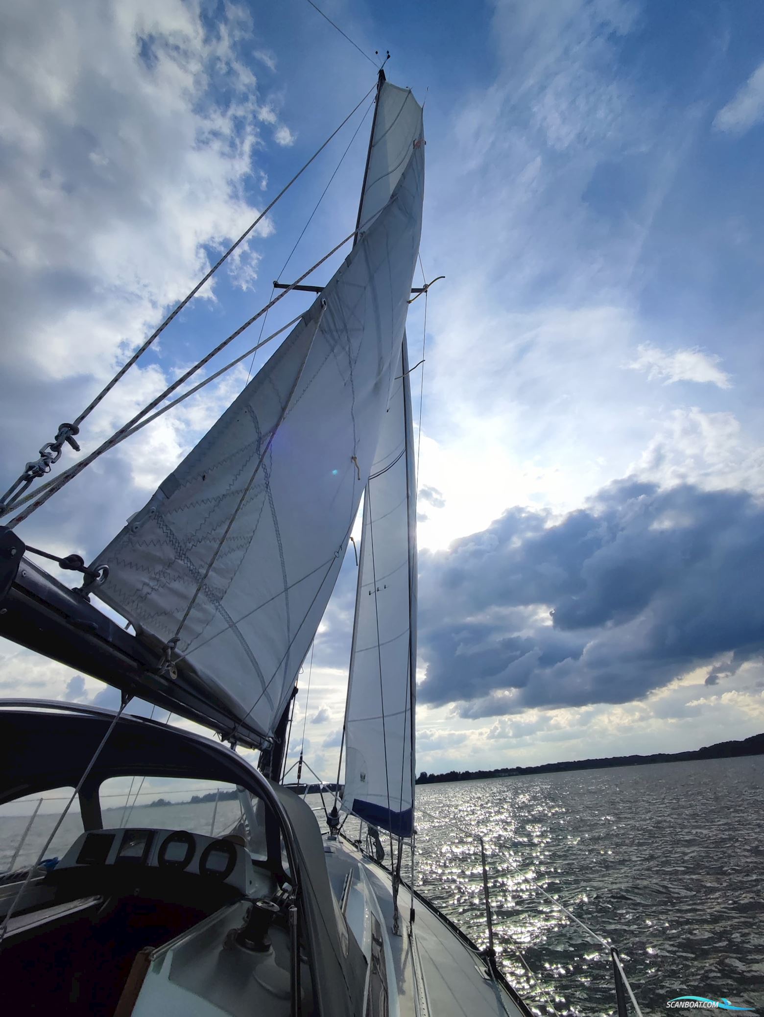 Kalik/Lewin Kalik 30