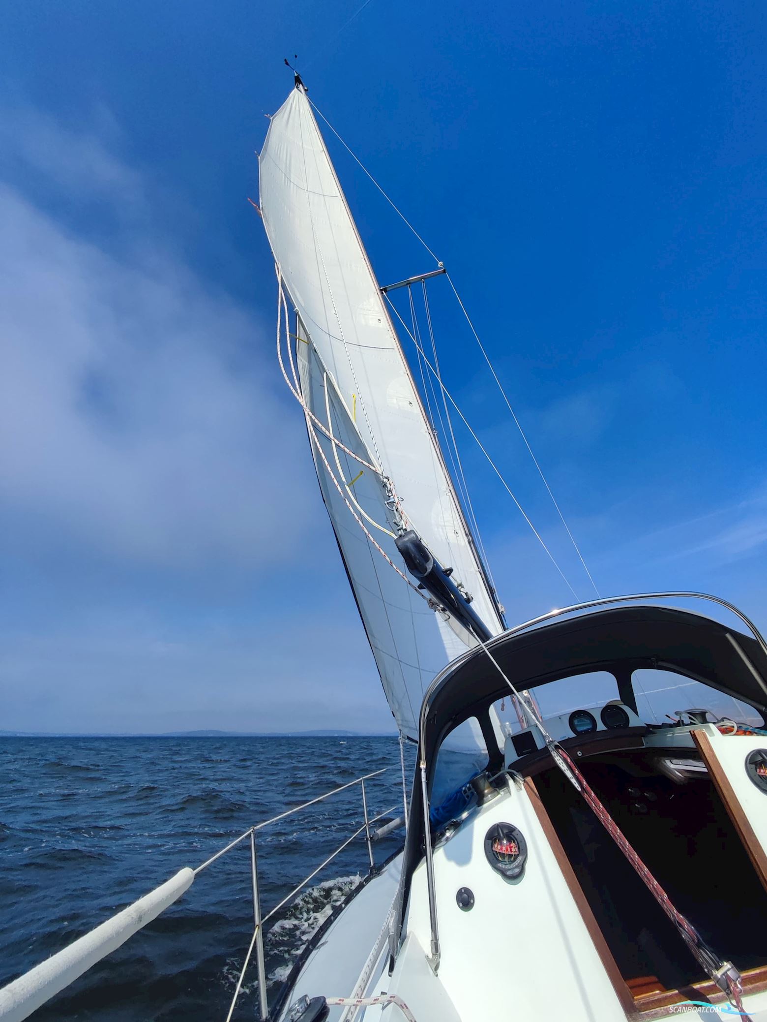 Kalik/Lewin Kalik 30