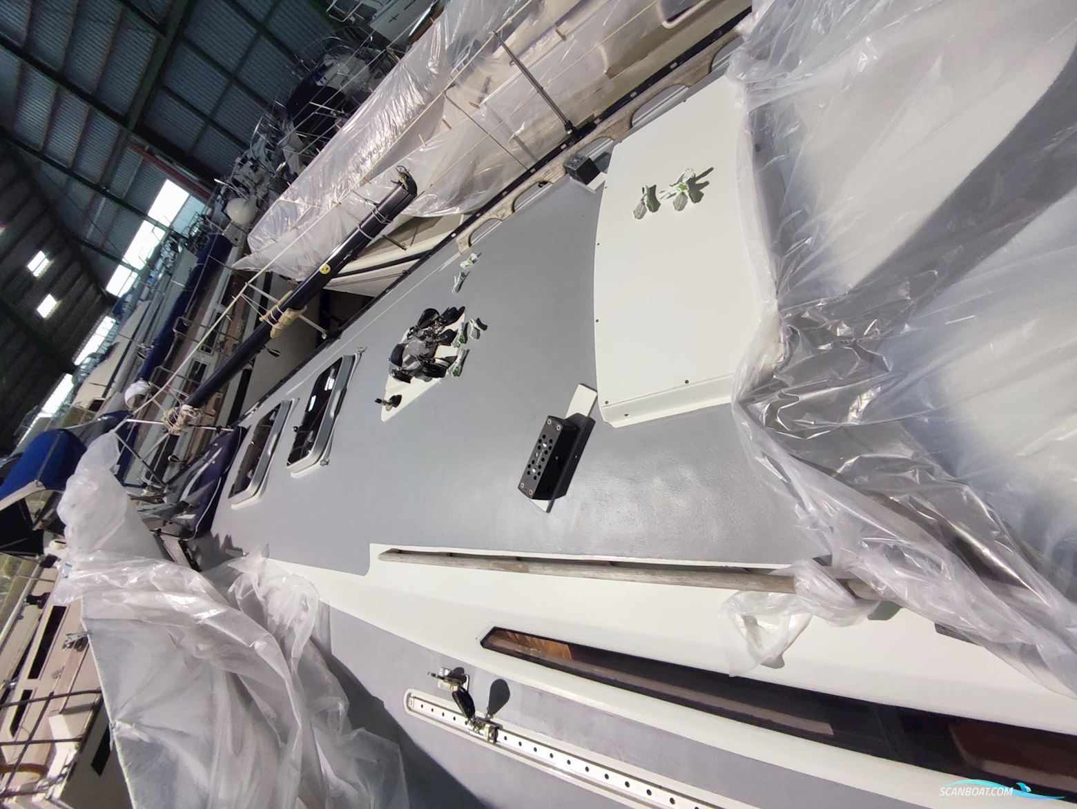 Kalik/Lewin Kalik 30