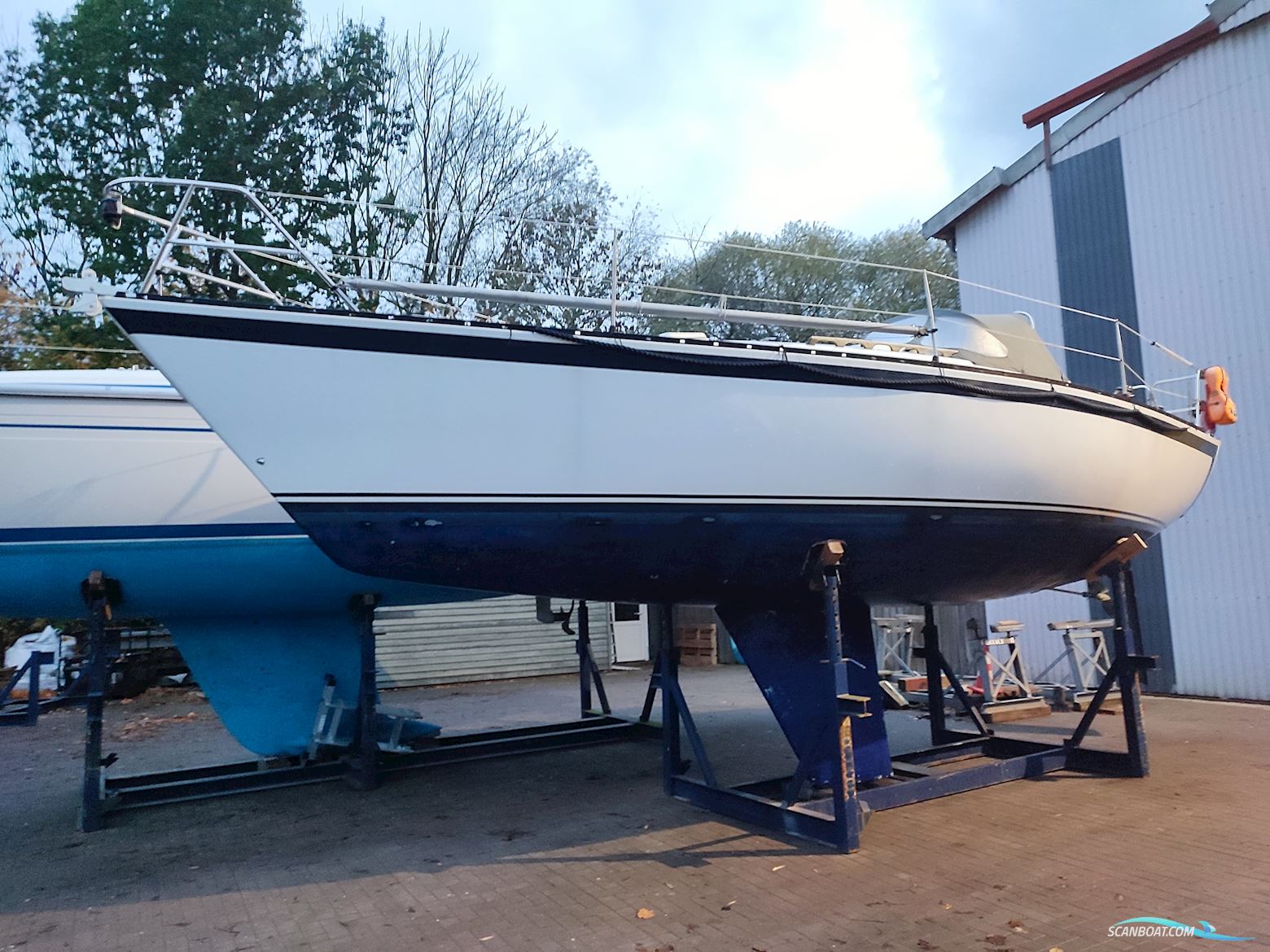 Kalik/Lewin Kalik 30