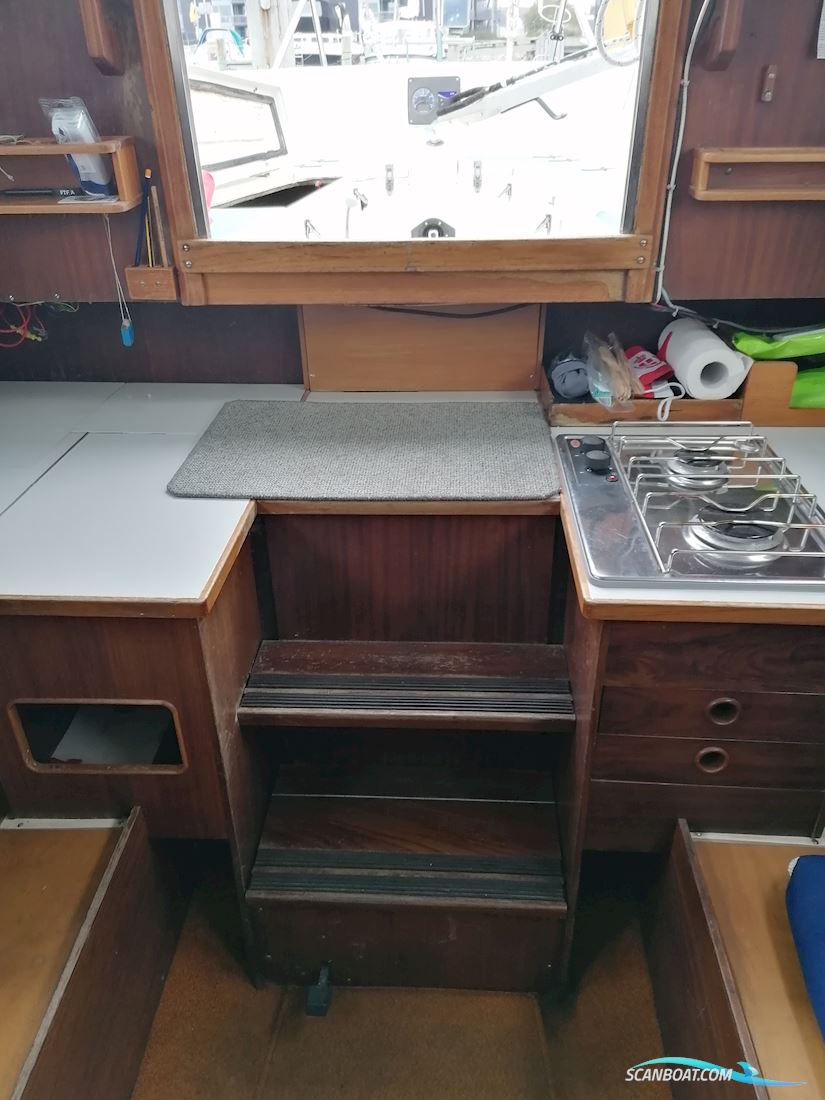 Kings Cruiser 29 Bud Ønskes