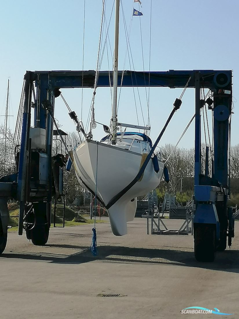 Kings Cruiser 29 Bud Ønskes