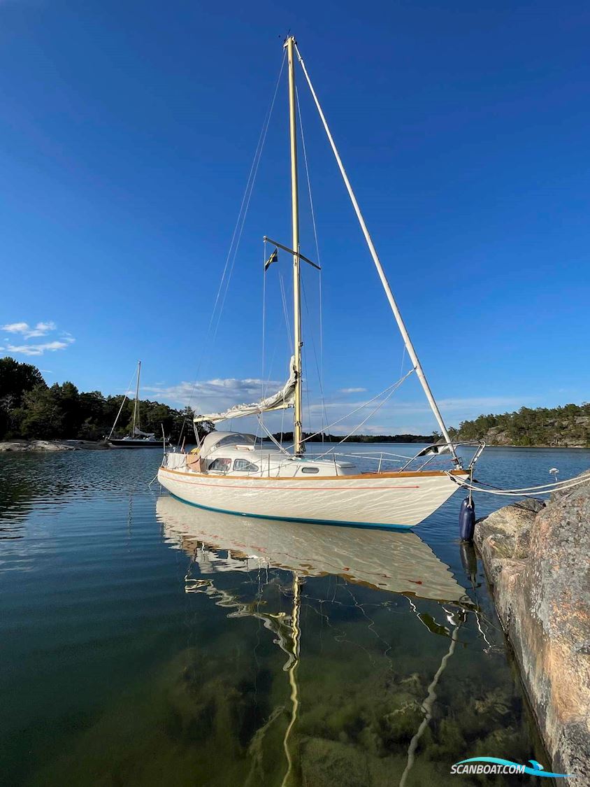 King's Cruiser 29