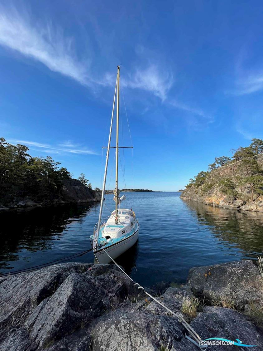King's Cruiser 29