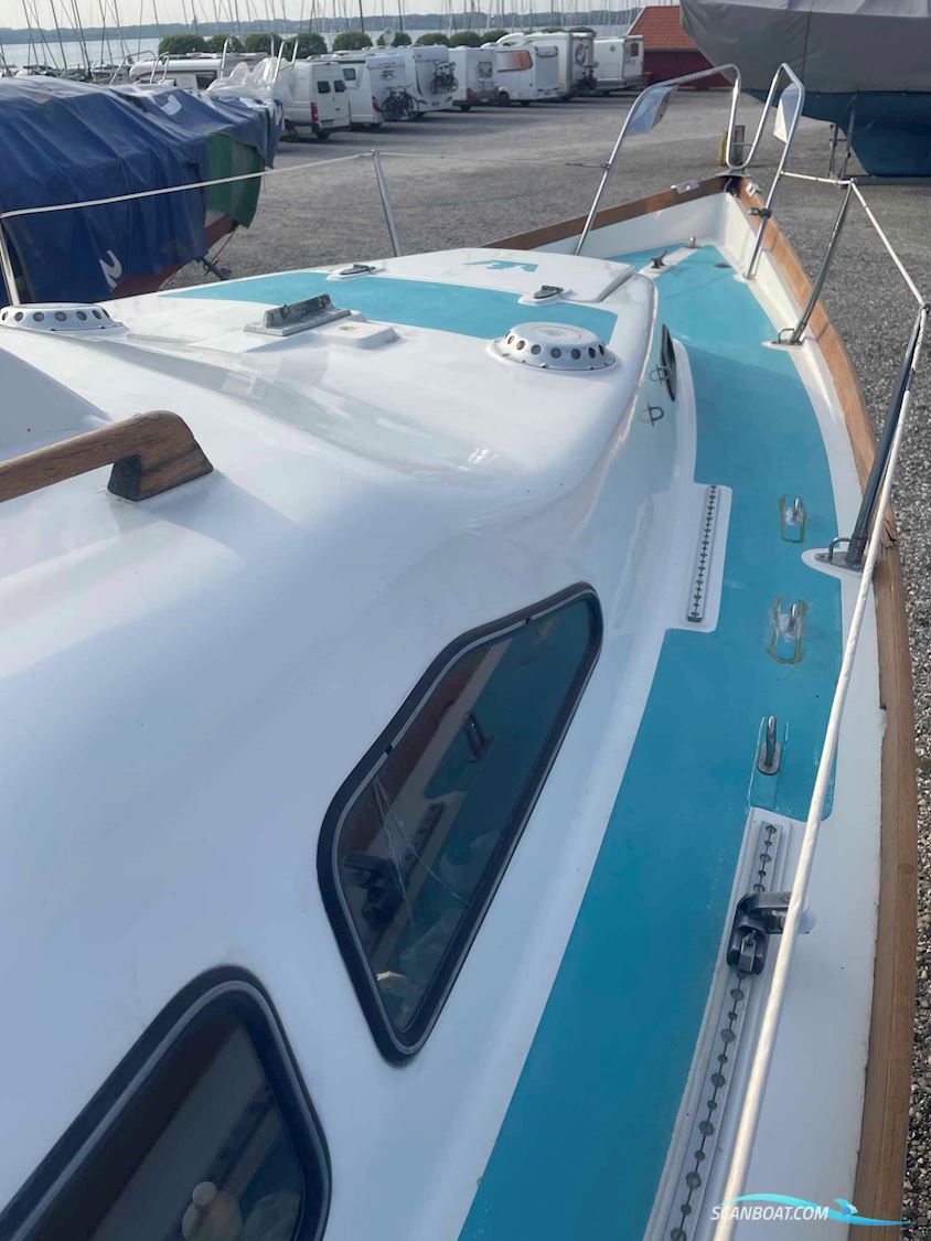 King's Cruiser 29