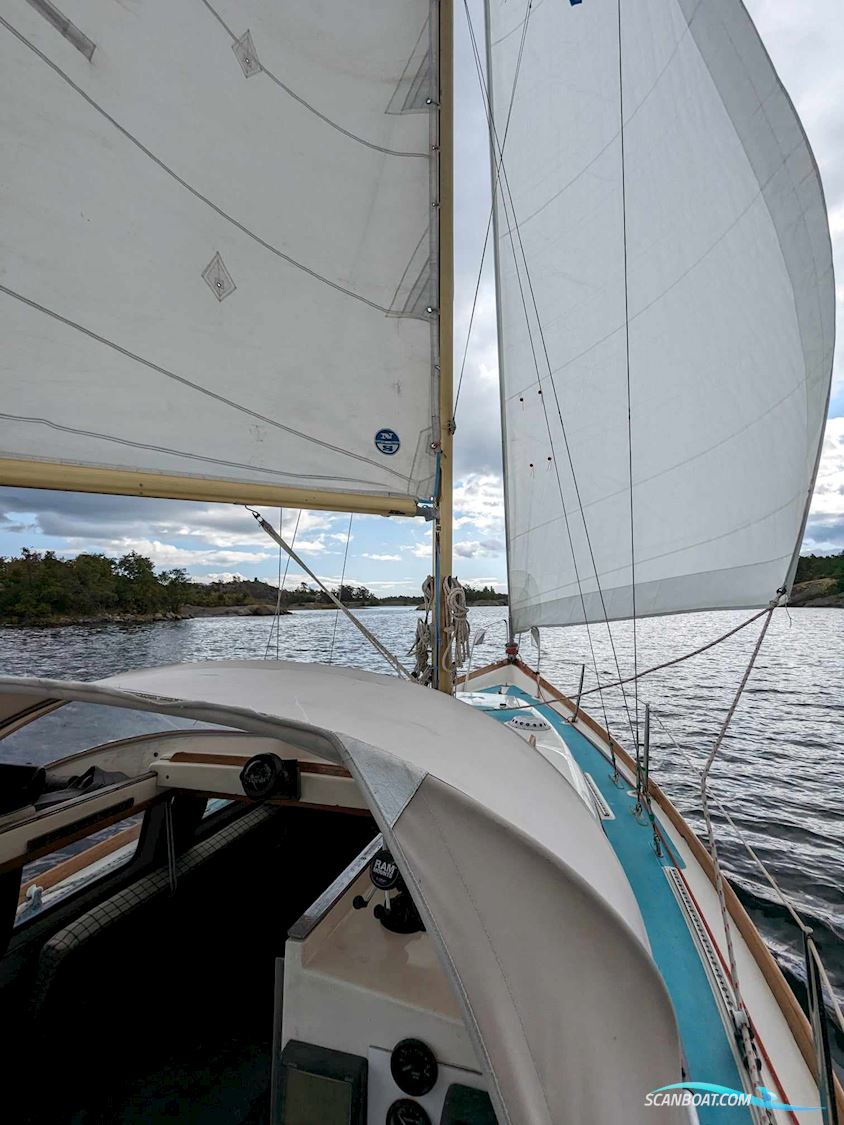 King's Cruiser 29