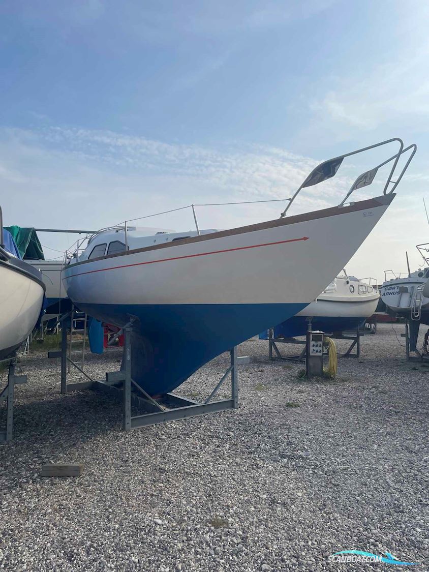 King's Cruiser 29