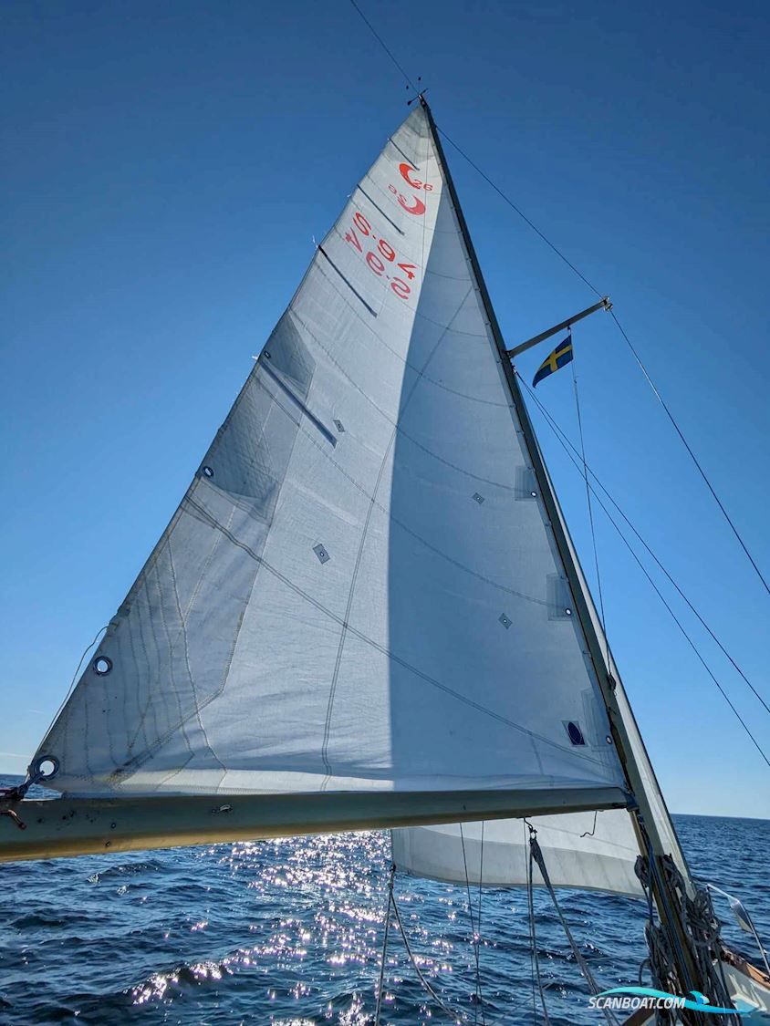 King's Cruiser 29