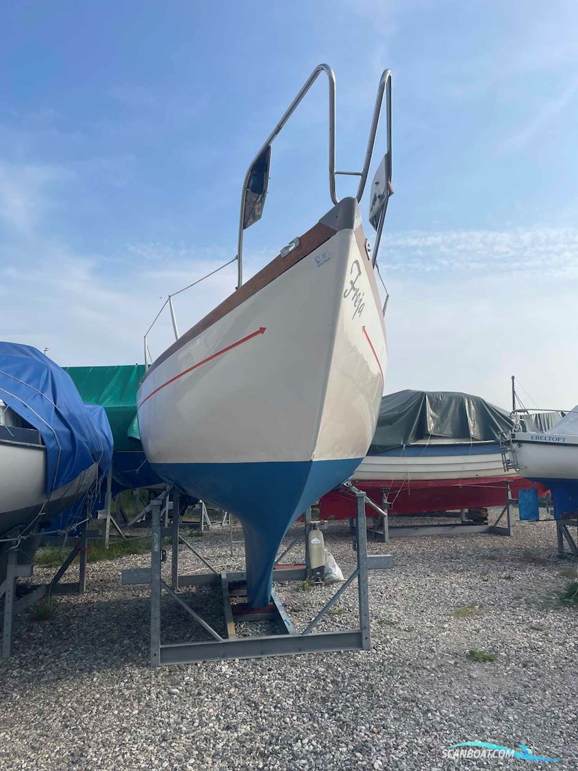 King's Cruiser 29