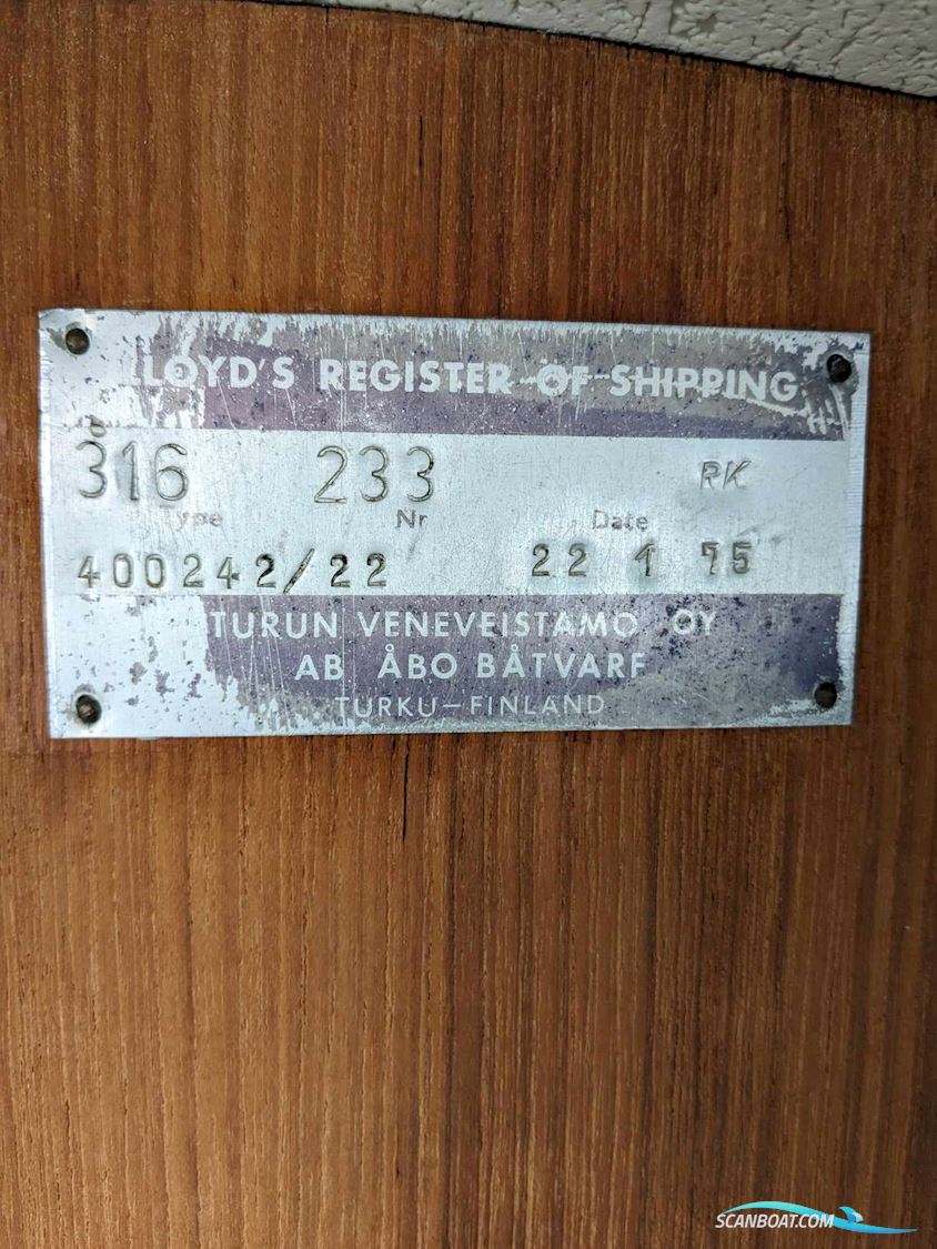 King's Cruiser 29