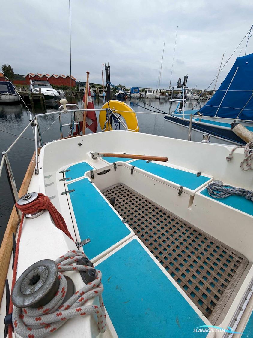 King's Cruiser 29