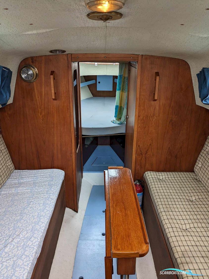 King's Cruiser 29