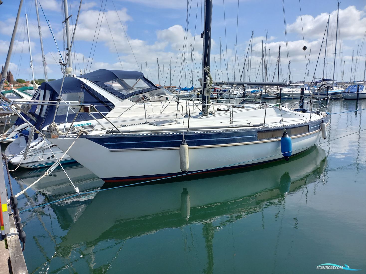 Kings Cruiser 33