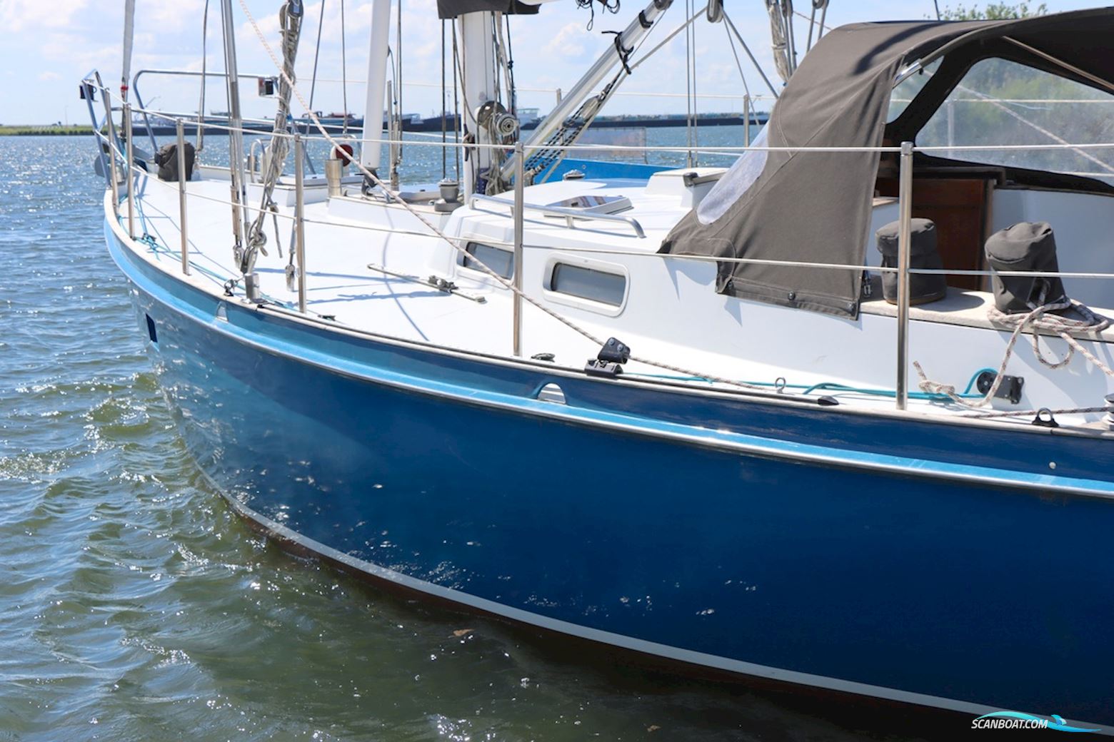 Koopmans 39