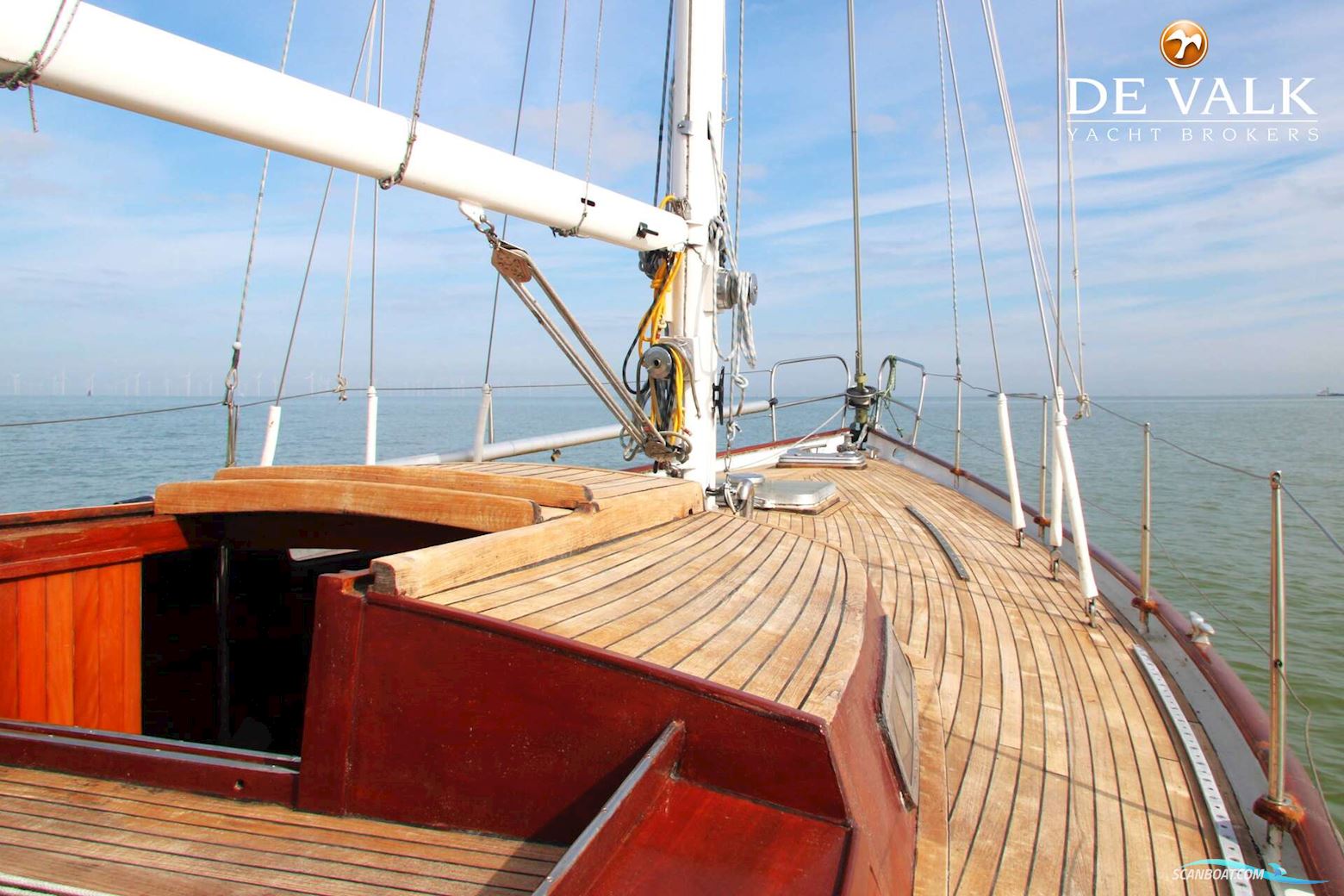 Koopmans 39