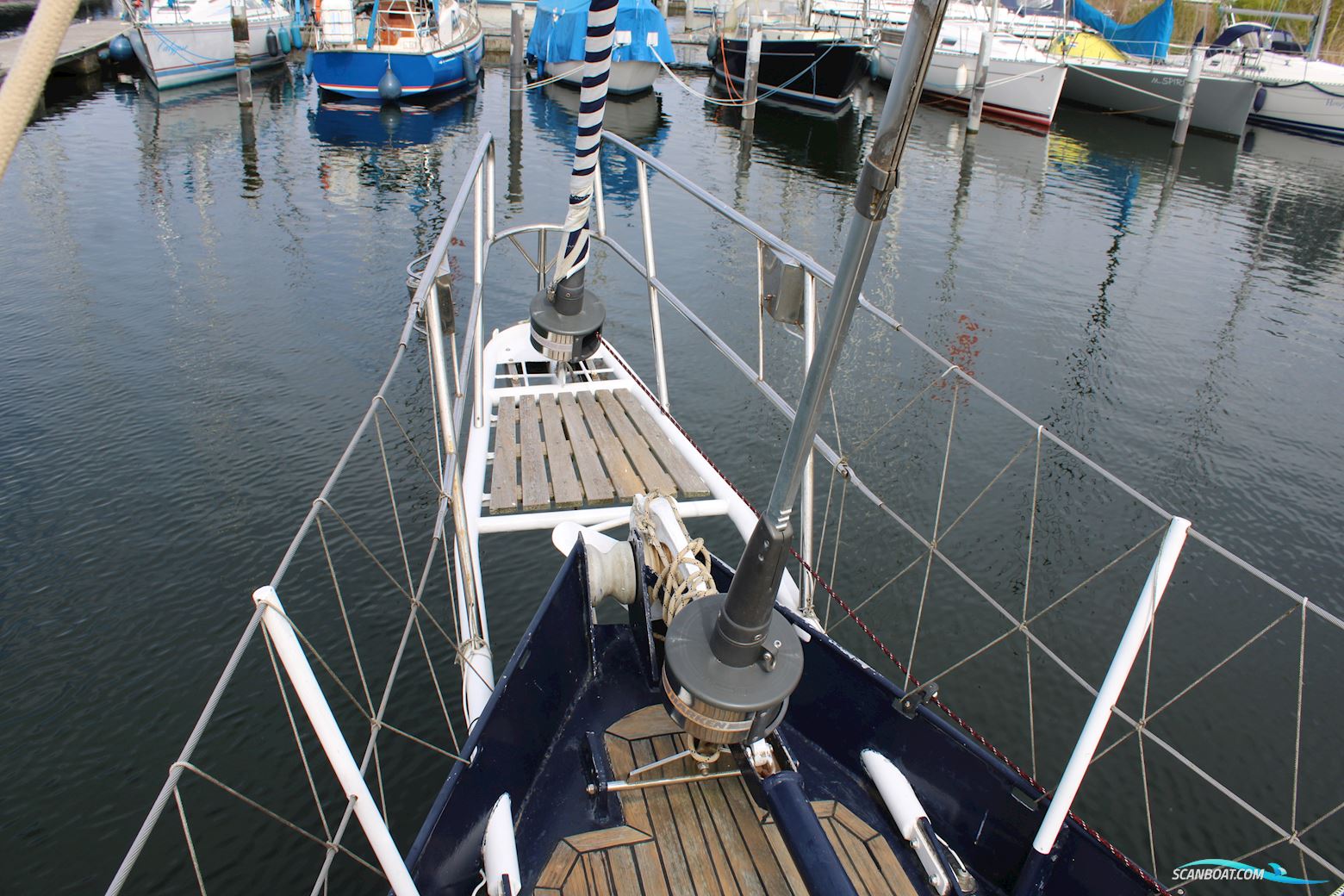 Koopmans 40