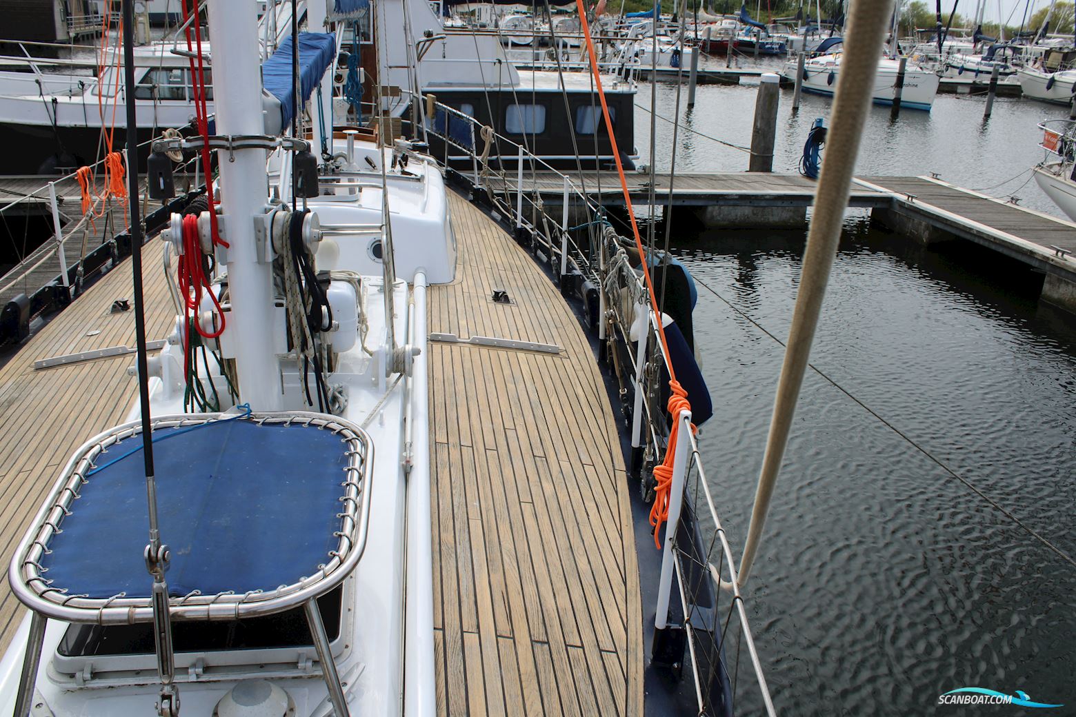 Koopmans 40