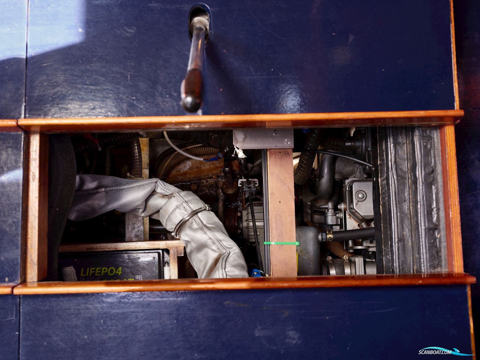 Koopmans 40