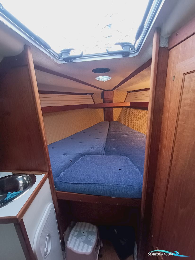 Lady Helmsman GT